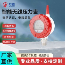 �f�؉��������I���@�o��ҺλӋ����ָʾ������������1-10MPa�y��