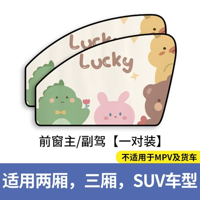 Car curtains – car privacy window - lucky-magnetic-type-main-passengerpair
