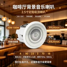 天籁商用 2.5 寸定阻筒灯服装店吸顶音箱家装背景音乐扬声器tl302
