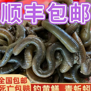 �ش�����r���~�D��S�X�������w������S�X�T�D���D���