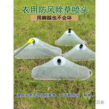 r늄ӇF͸Lև^݄șFΎև^