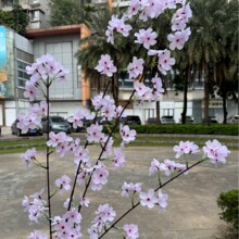 �¿��L⏻�������m��ʽ�L⏻�c��Y��·�����Ļ�Y���������廨