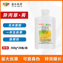 GҰ ǰó݄ 41%ݰ·ݬȥ rș݄