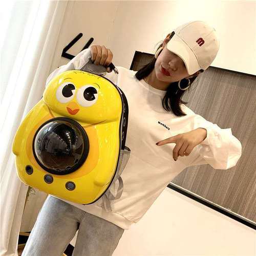 Pet Bag Cat Bag Space Capsule Breathable Outdoor Portable Backpack Dog Bag Dual Shoulder Large Cartoon Cat Backpack Dropshipping