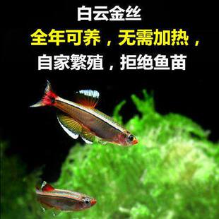 ��녽�z �󷫽�z ��ˮ�~ ��ˮ�~ ����������z���~ ���첻�ӟ�