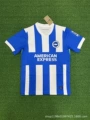 Brighton & Hove Albion Home