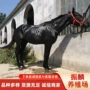 一匹可以骑乘150蒙古马