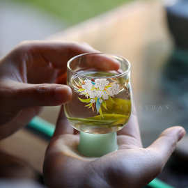 春景高硼硅透明玻璃茶杯主人杯单杯小清新加厚耐热品茗杯绿茶杯