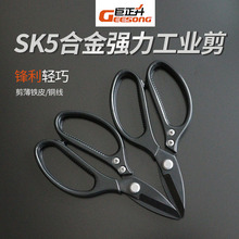 �������������Sֱ�N�i��FƤ�����F�z늾��~�zƤ����������