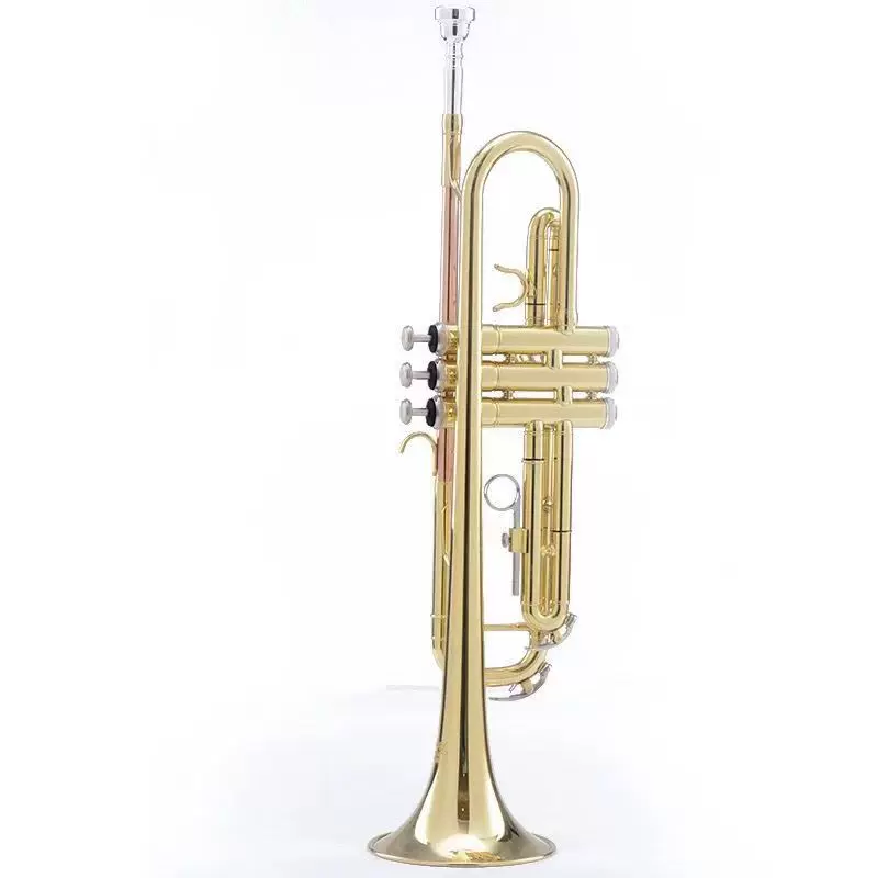 小号铜管西洋乐器 降B调三音小号 学生成人演奏电泳金三色小号