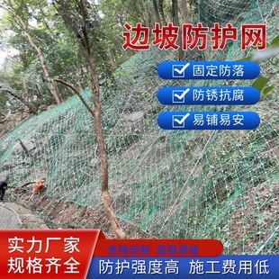 Slope Protection Net Active and Passive Rockslide Active Interception Protection Net Safety Circular Wire Rope Net