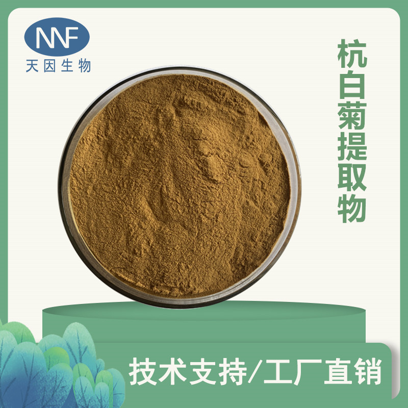 杭白菊提取物 10：1  杭白菊浓缩粉 杭白菊粉 胎菊/白菊浓缩粉