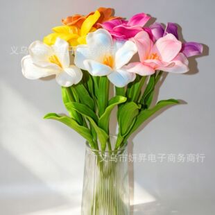 ���沼�����_��������pu���滨�����ָл�Y�͏d�[���bٻ����I