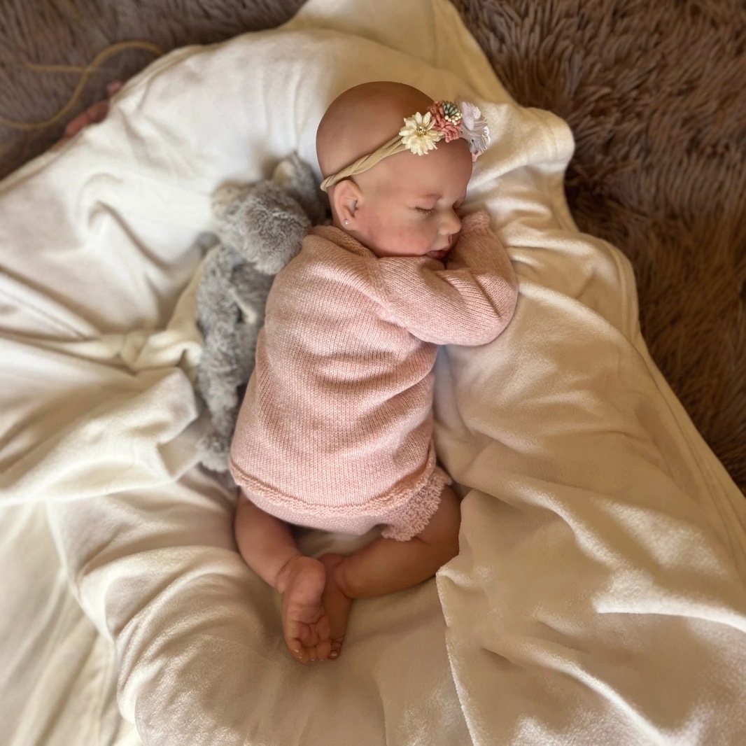 XINWEICHENG 원래 19 인치 시뮬레이션  인형 LOULOU 쌍둥이 국경 간 공급