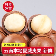 云南夏威夷果奶油味干果仁新货散装孕妇零食整箱批发原味奶香坚果