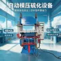 成型模压热压电热硫化机
