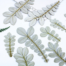 �����~ί��˷����~ֲ��˱�������ͯ�ֹ������N������~���z���