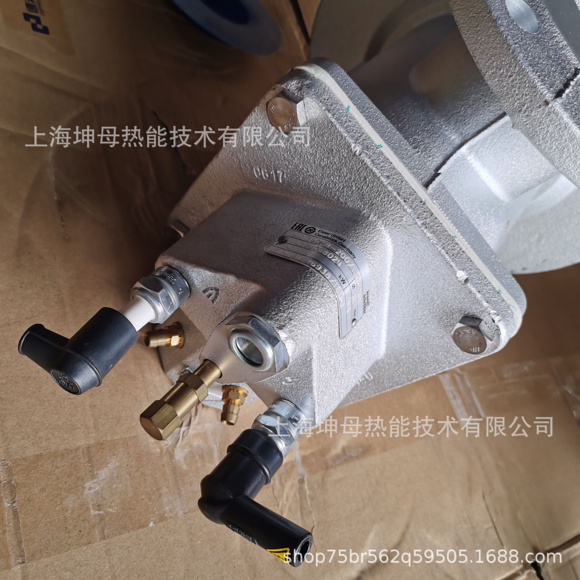 EBICO EB7G-T点火装置(不锈钢316L=1675mm)