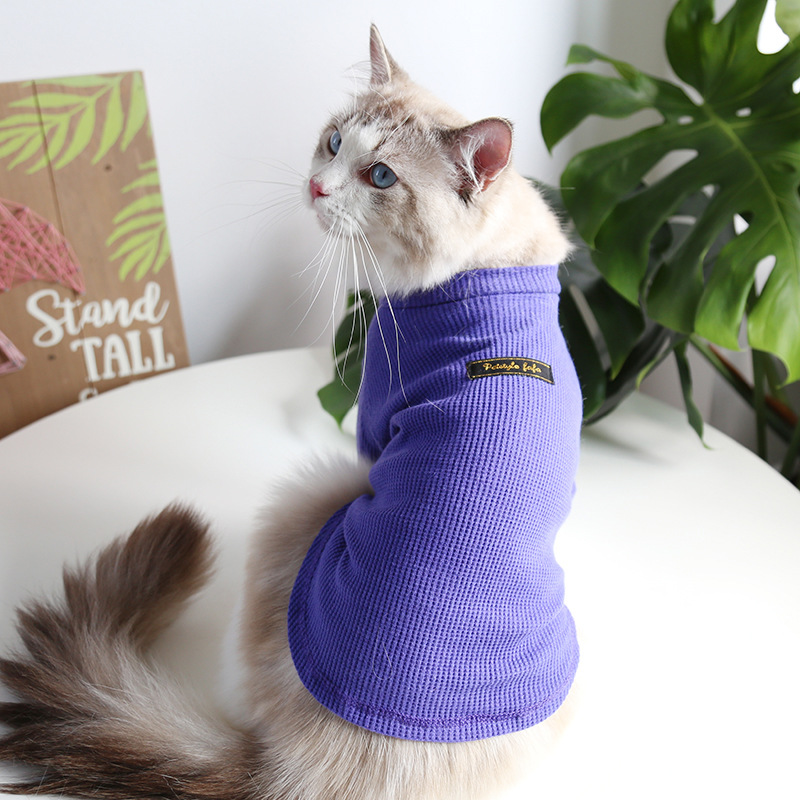 Petstyle ѧװ 򸴹Ŵ· è·