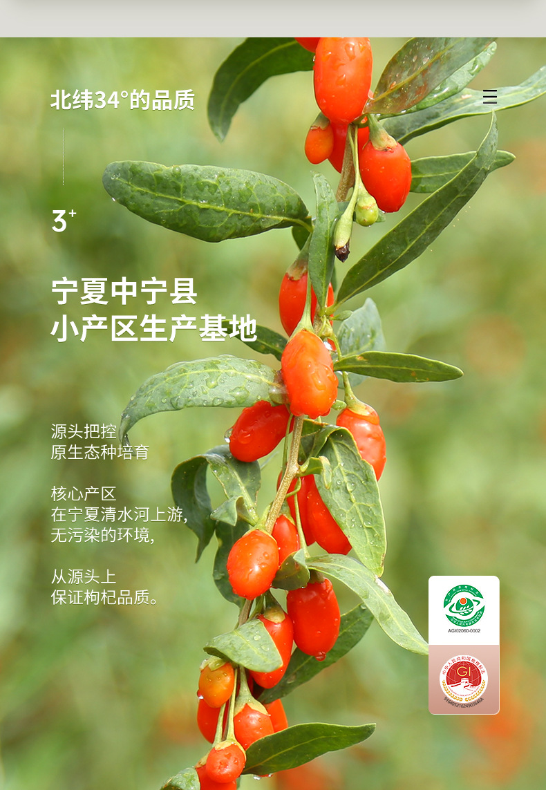 Ning'anbao Ningxia Goji Berries Premium Large Fruit 250g Dried Wolfberry key features