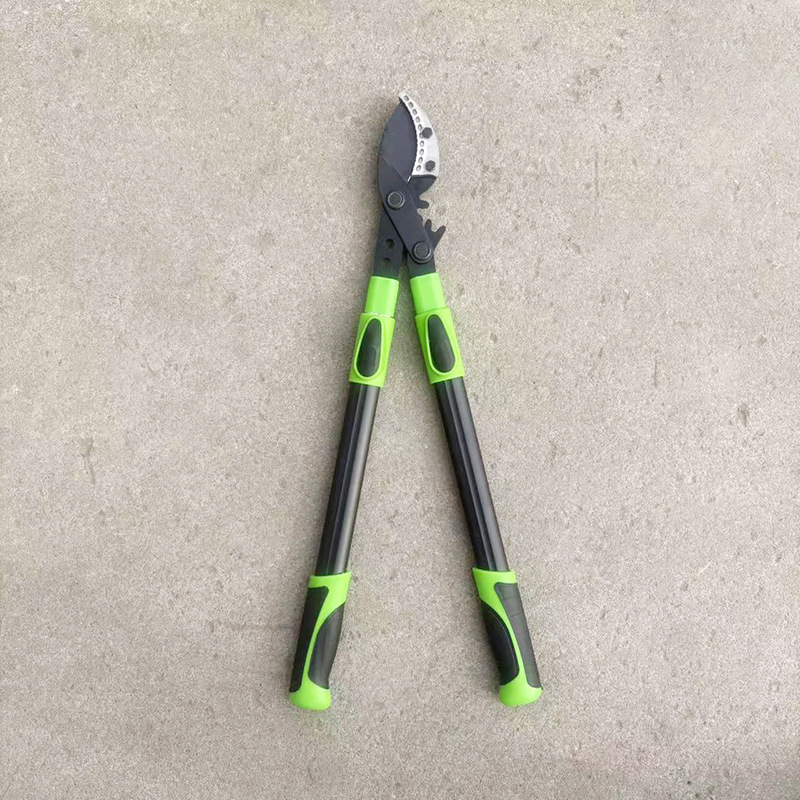 微信图片_20260129143008_568_408.jp