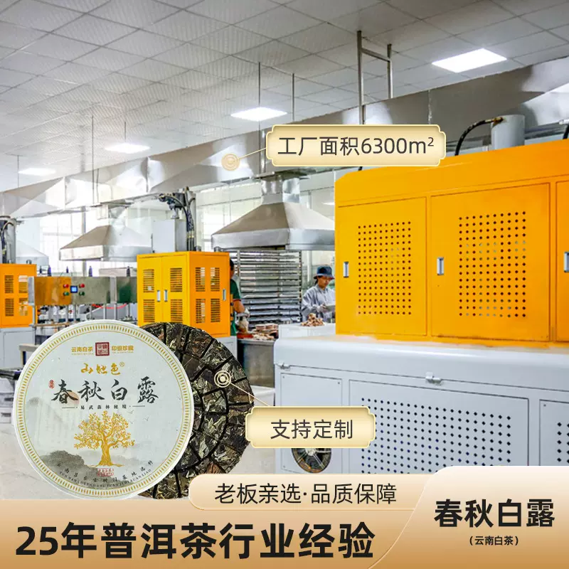 云南大叶种白茶现货易武大树头春陈年老白茶357g 乾坤茶饼定制