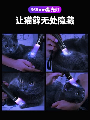 Fungus Inspection, Ultraviolet Lamp, UV fənərlər