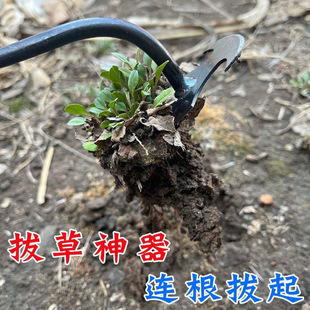 Herding rake manganese steel pulling grass root weeding tools horticultural rake agricultural small and medium-sized field digging X20