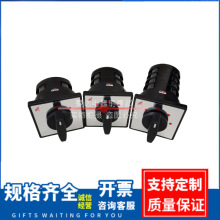 LW5D-16/1 16/2 16/4 双电源切换电机手自动控制倒顺正反转换开关