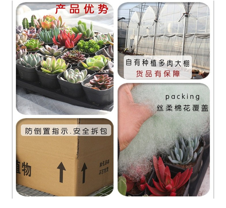 67a2e5b2877a4109a47eb59f30f618