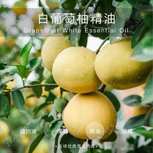 ����� | �M�� �����Ʉ�BioDynamic �������ֆη����� ���l