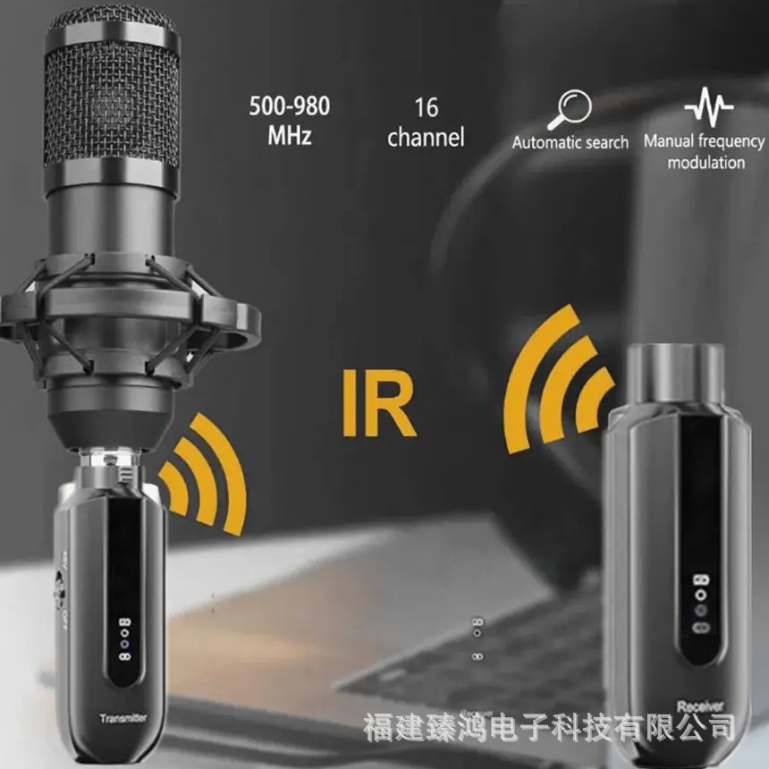 2.4g micrófono receptor inalámbrico Linder XLR escenario capacitancia 5V / bobina móvil 48V soporte de micrófono cableado