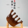 Golden sandalwood-little octopus