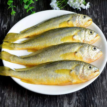 �S���~���r�����Ұ���S�~С�S�~���rˮ�a���l�r�����俾�~�E�~