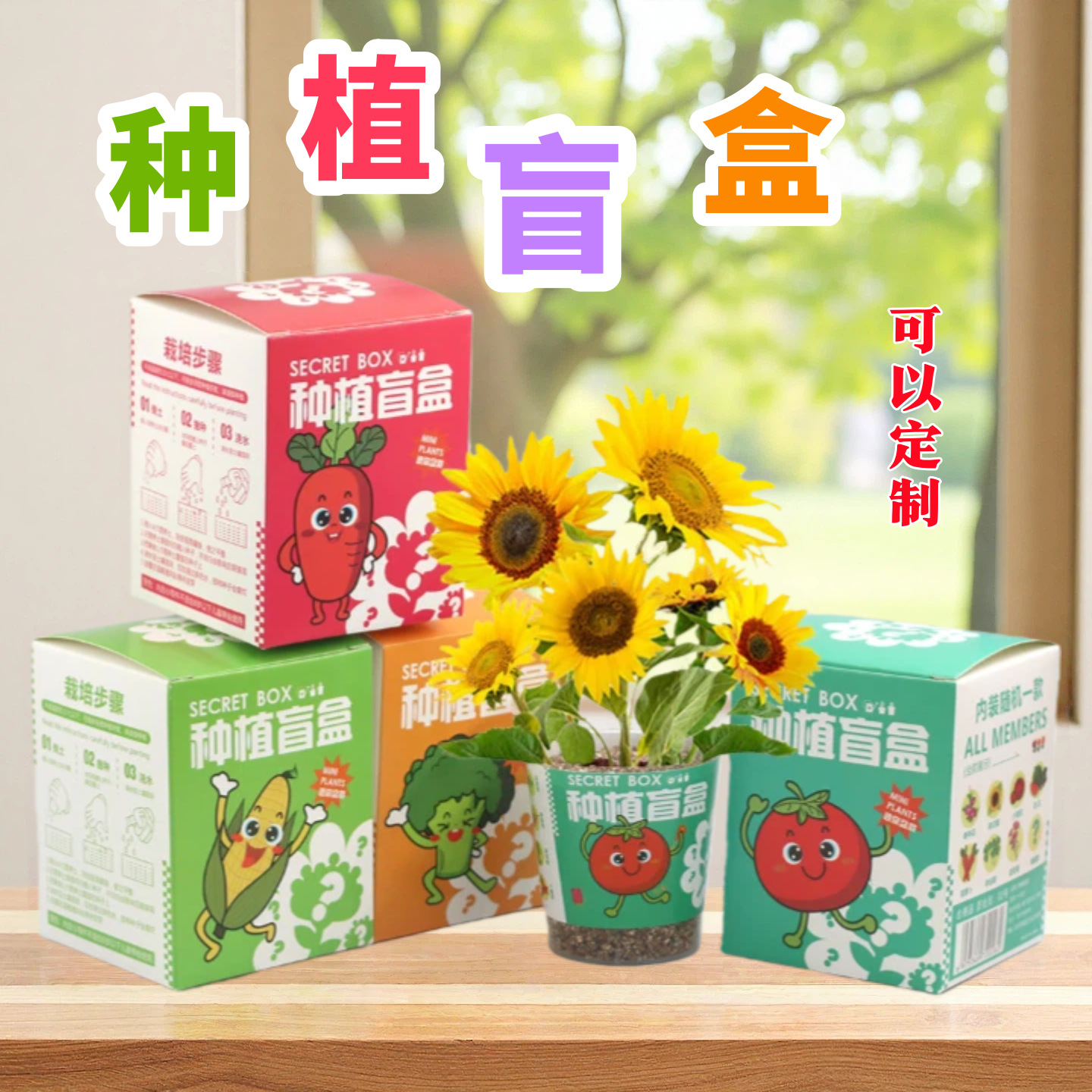 种植盲盒儿童植物盆栽幼儿园观察小学生科教绿植创意迷你开花娃娃