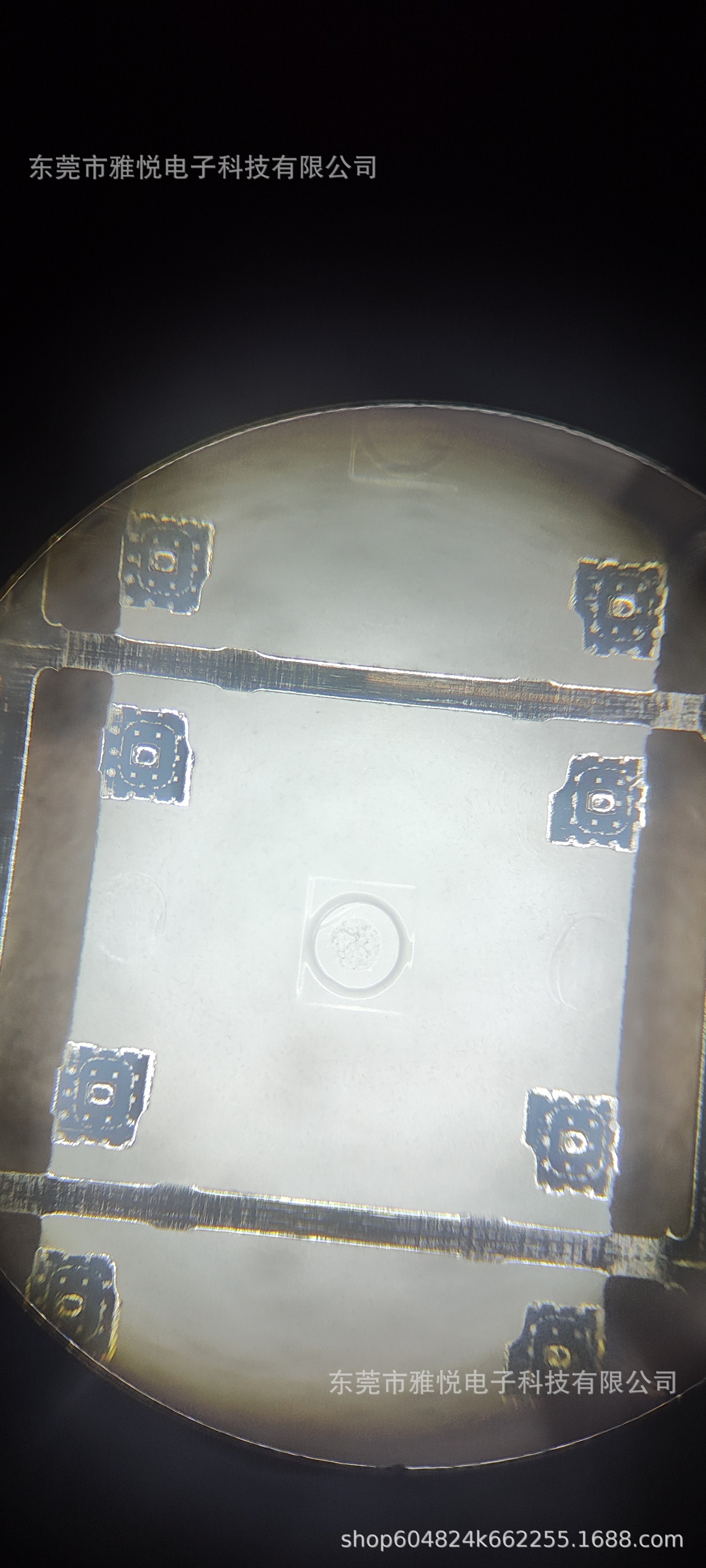 微信图片_20241104110034 - 副本