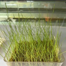 ��â�����|�ݷN���m�˱����ߺ��؅^�������ͺ����}�|���|�߮a����