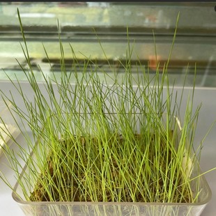 ��â�����|�ݷN���m�˱����ߺ��؅^�������ͺ����}�|���|�߮a����