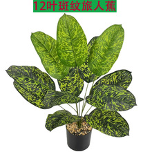 亚马逊仿真绿植12/18头斑纹旅人蕉天堂鸟芭蕉叶盆栽植物室内装饰