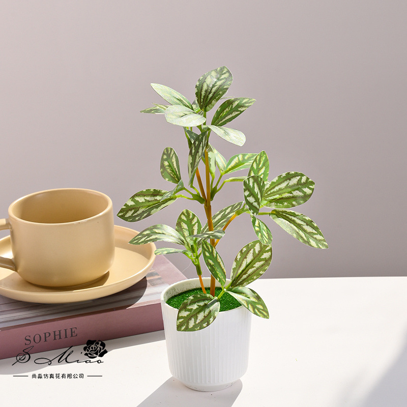 Simulación de plantas verdes, pequeñas plantas en macetas, flores artificiales, flores creativas, decoración de estudio fotográfico para el hogar, plantas verdes artificiales, bonsai de simulación image 5