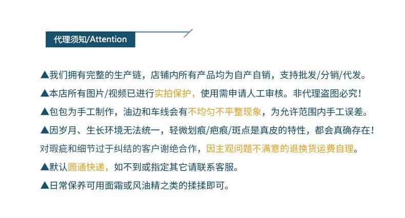 韩版休闲简约单肩包双肩带托特包