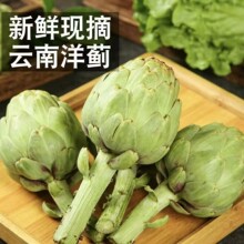 新鲜洋蓟网红朝鲜现摘蓟高端食材真材实料法国百合菜蓟批发价