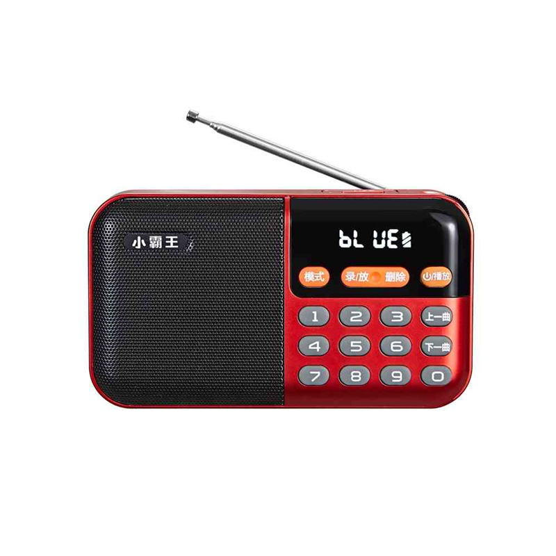 레드 기본 구성 + 충전기 + 4G 노래방 SD 카드