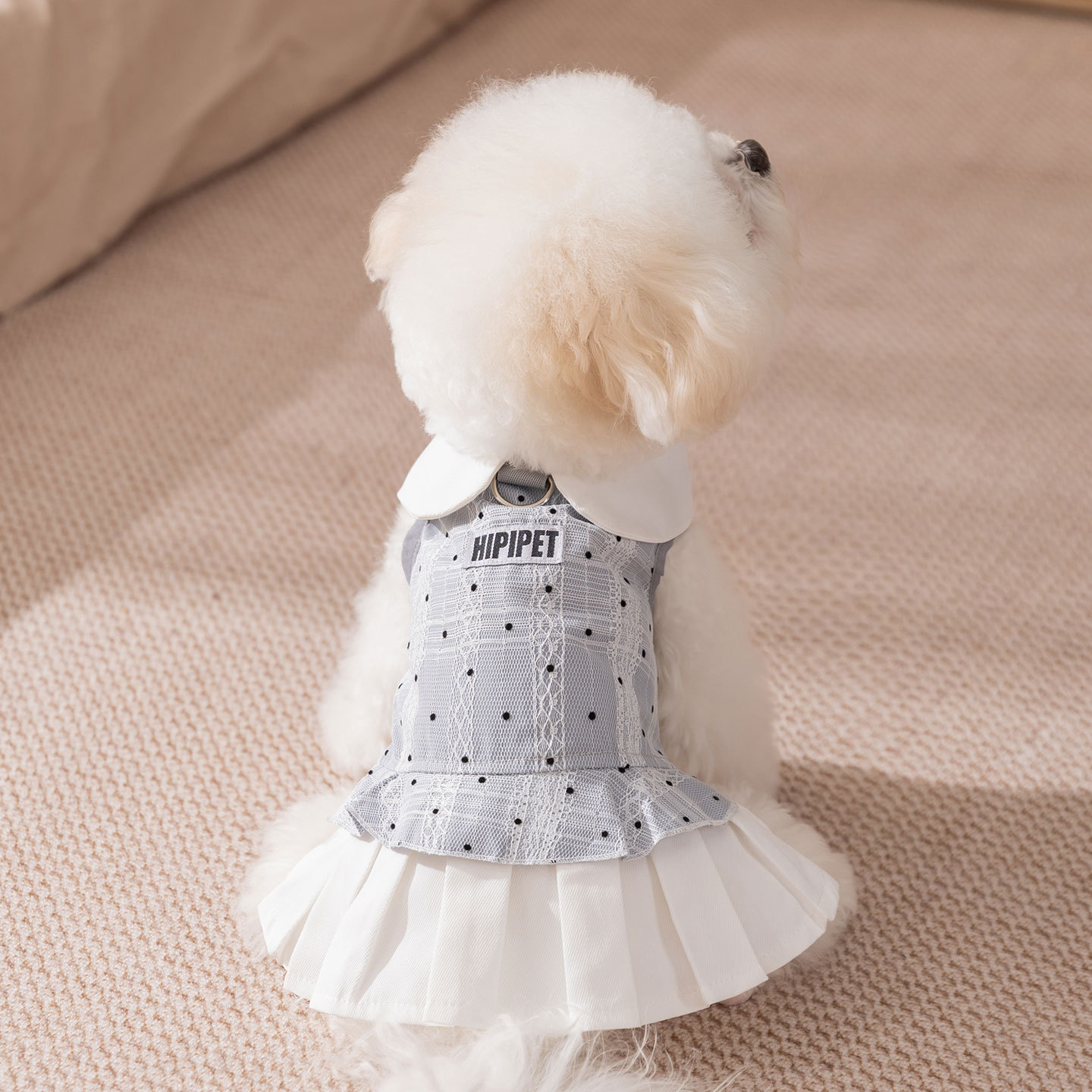 Otoño y invierno nuevo Miu es un traje simple, vestido de collar de dama, ropa para perros y gatos, perros pequeños y medianos. image 1