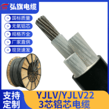 絕緣架空3芯鋁芯電纜 YJLY/YJLV22型號家用阻燃電纜鎧裝鋁芯電線