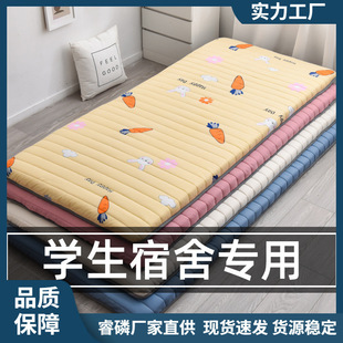 Portable Soft Mattress Soft Cushion Home Winter Dormitory Student Single Dormitory Bunk Bed Sleeping Mat for Kidsren
