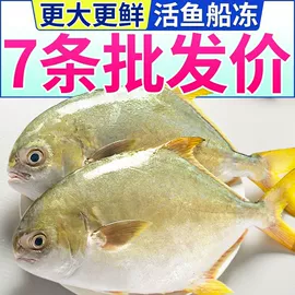 西式糕点;膨化;传统糕点