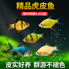 ��Ƥ�~���w�Ꭷ�~�^�p�~���ֵ�ˮ���B��ݸ�Ⱥ���~���~С���~�~��