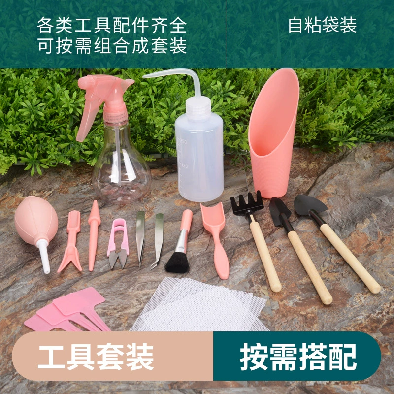 Сочетание инструментов для посадки суккулентов