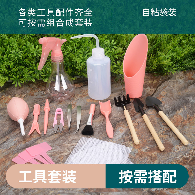 Fleshy Plant Planting Tools Combination suit Flower Planting Gardening Supplies Potted Plant Tools Spraying Pot Gardening Wholesale Fleshy Plant Planting Tools Combination suit Flower Planting Gardening Supplies Potted Plant Tools Spraying Pot Gardening Wholesale